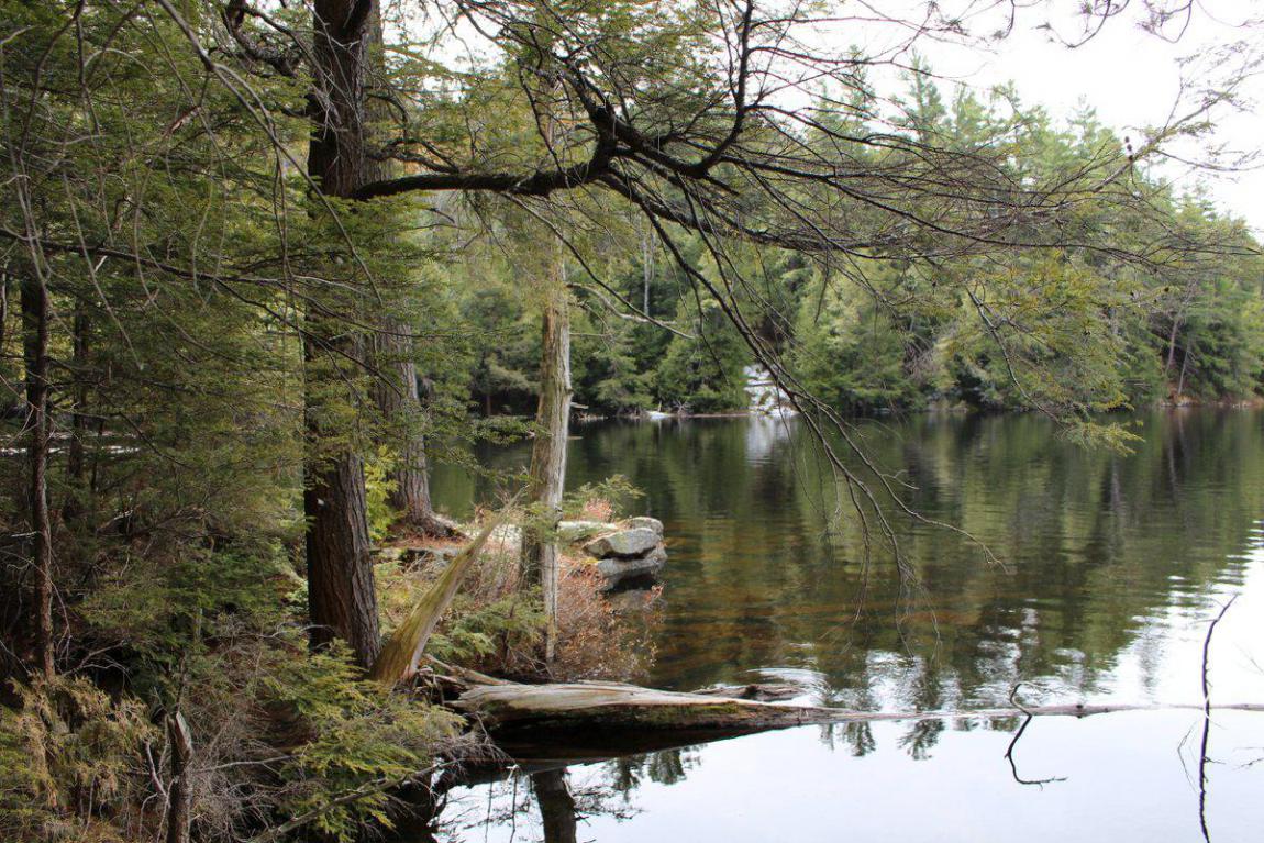 140 Acres, West Shore Road, Cat Lake (Private Lake), Haliburton