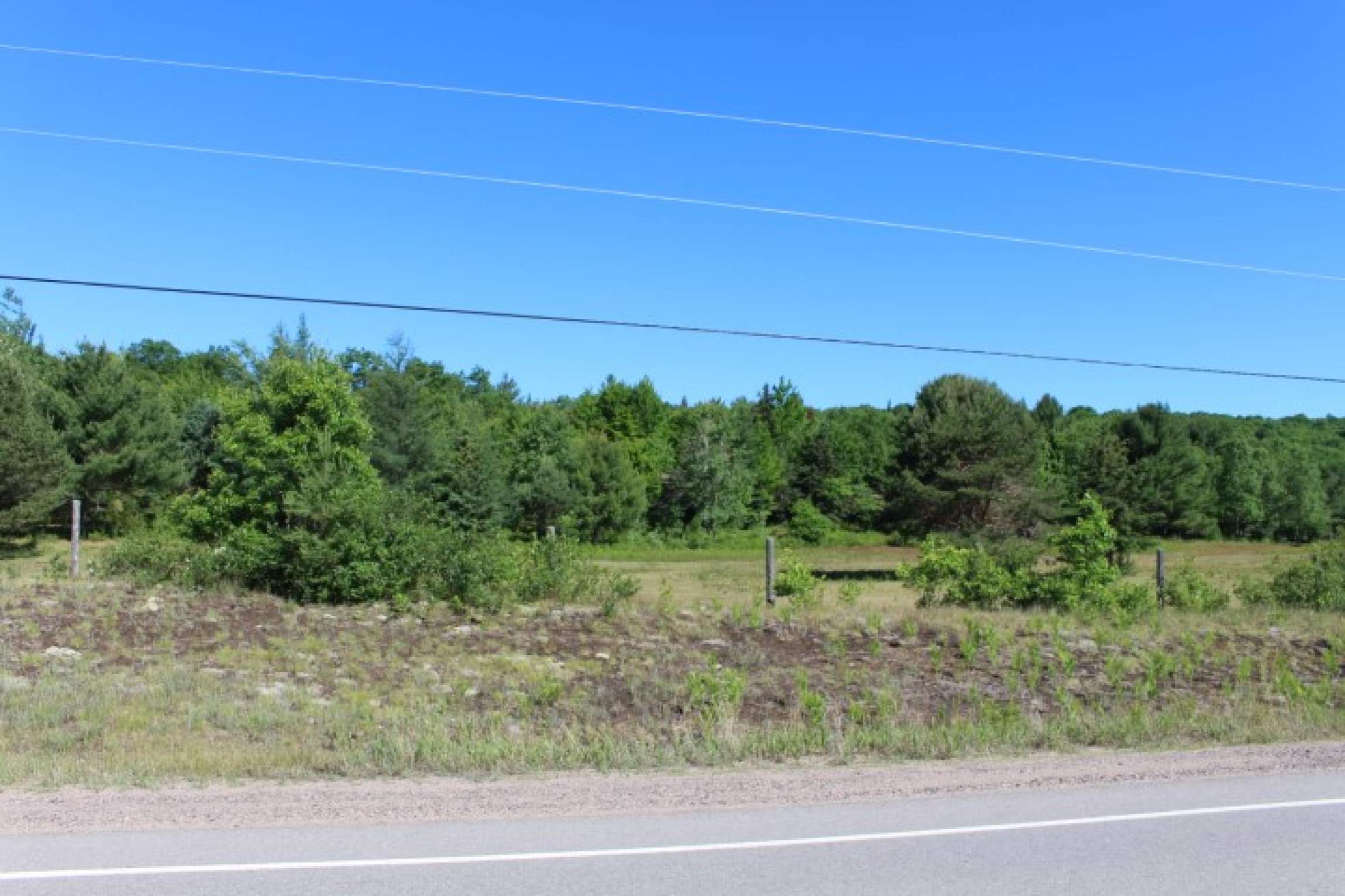 16.1 Acres, Gelert Road, Haliburton Building Lot listed by Ted Vasey
